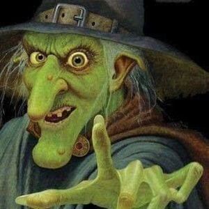 Meet your Posher, Ann